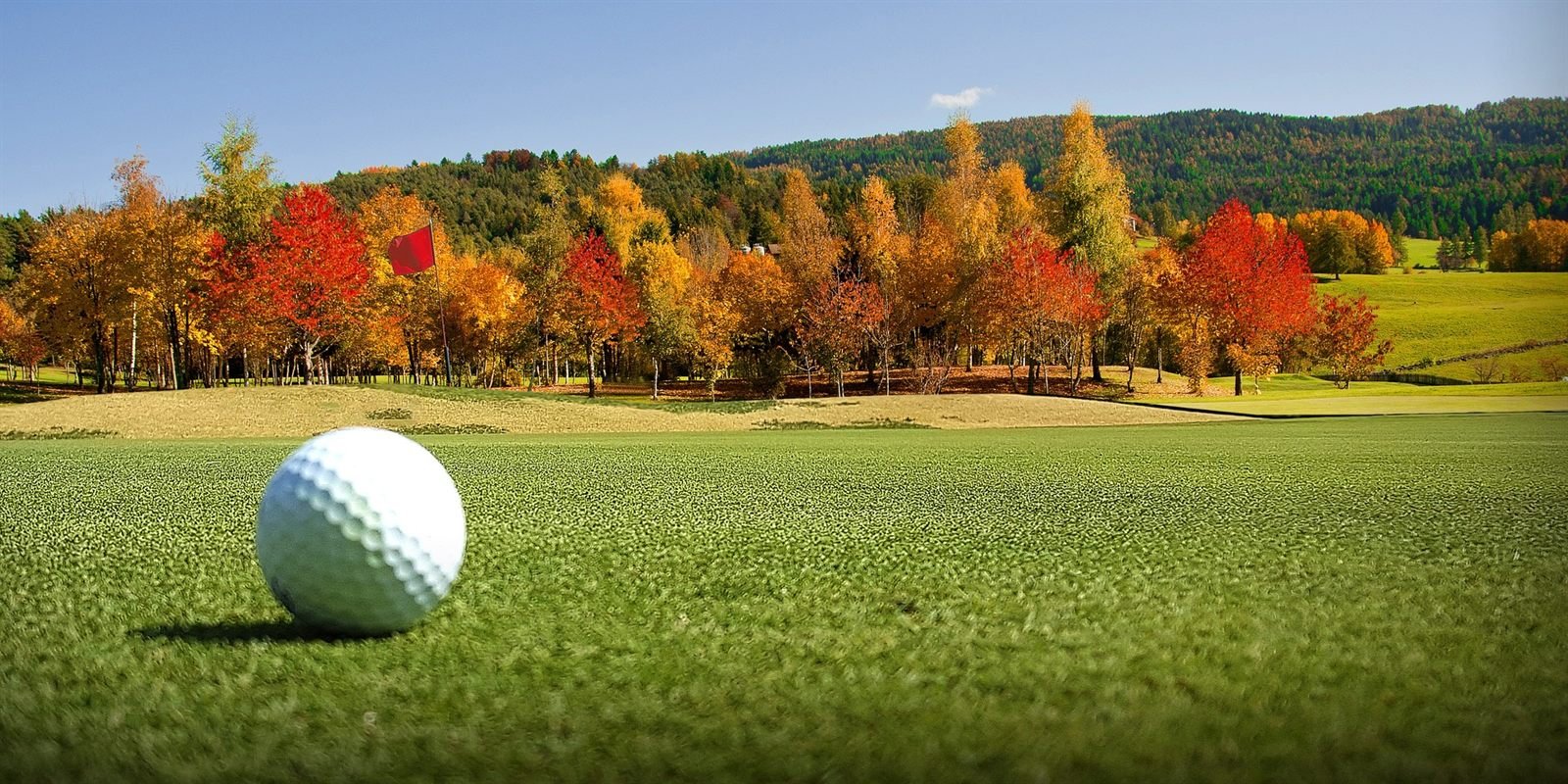 A golf ball sitting on a green with a line of trees in full autumn colour behind it.