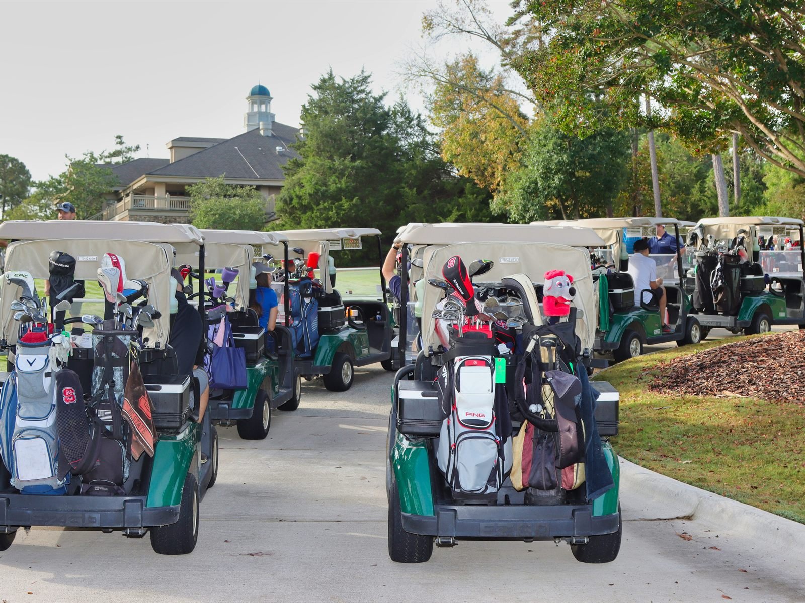 A line of golf carts parked and waiting at the edge of a course.