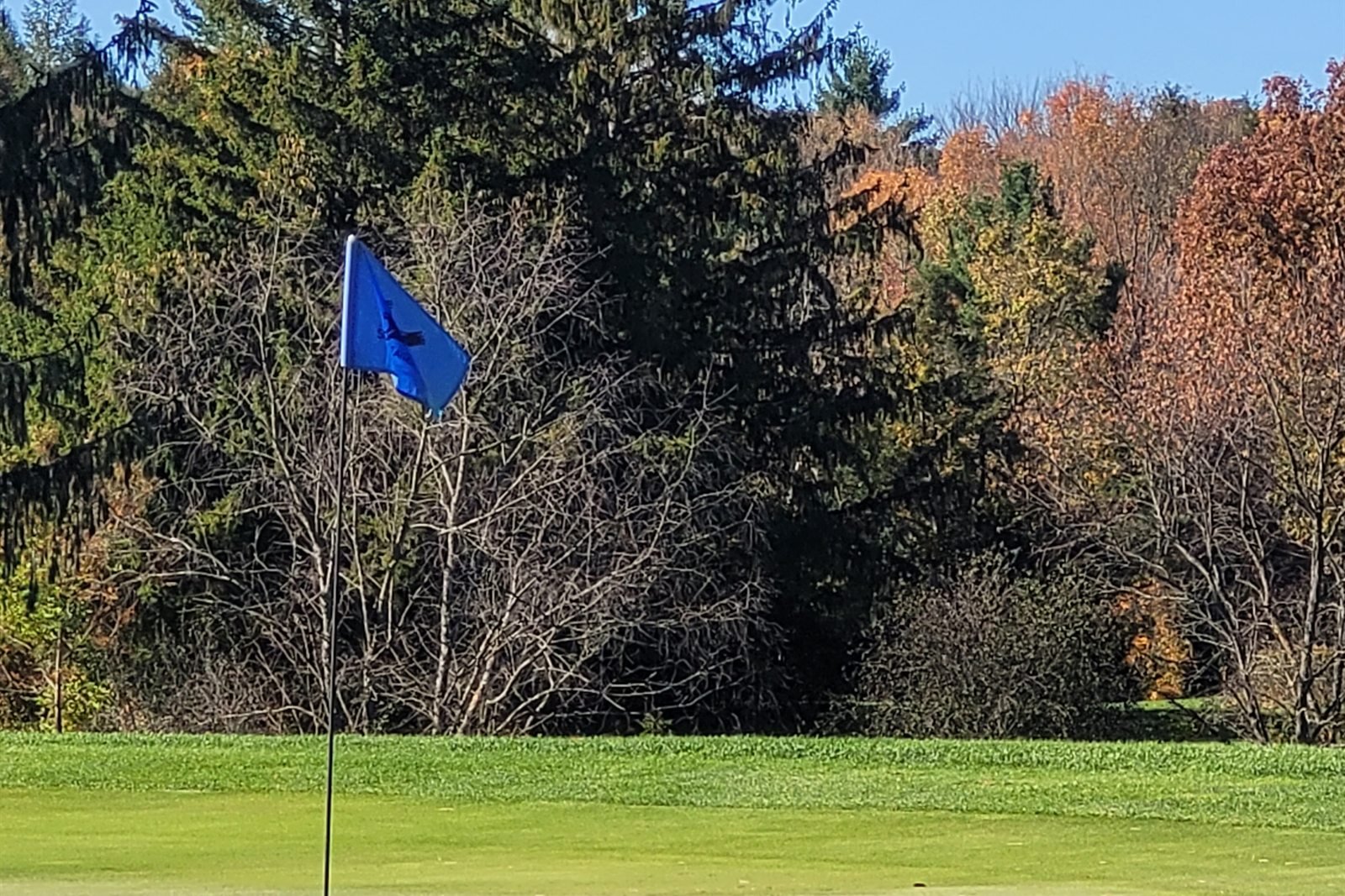 A flag on a green in front of pines and autumn colour on a cold, clear day.