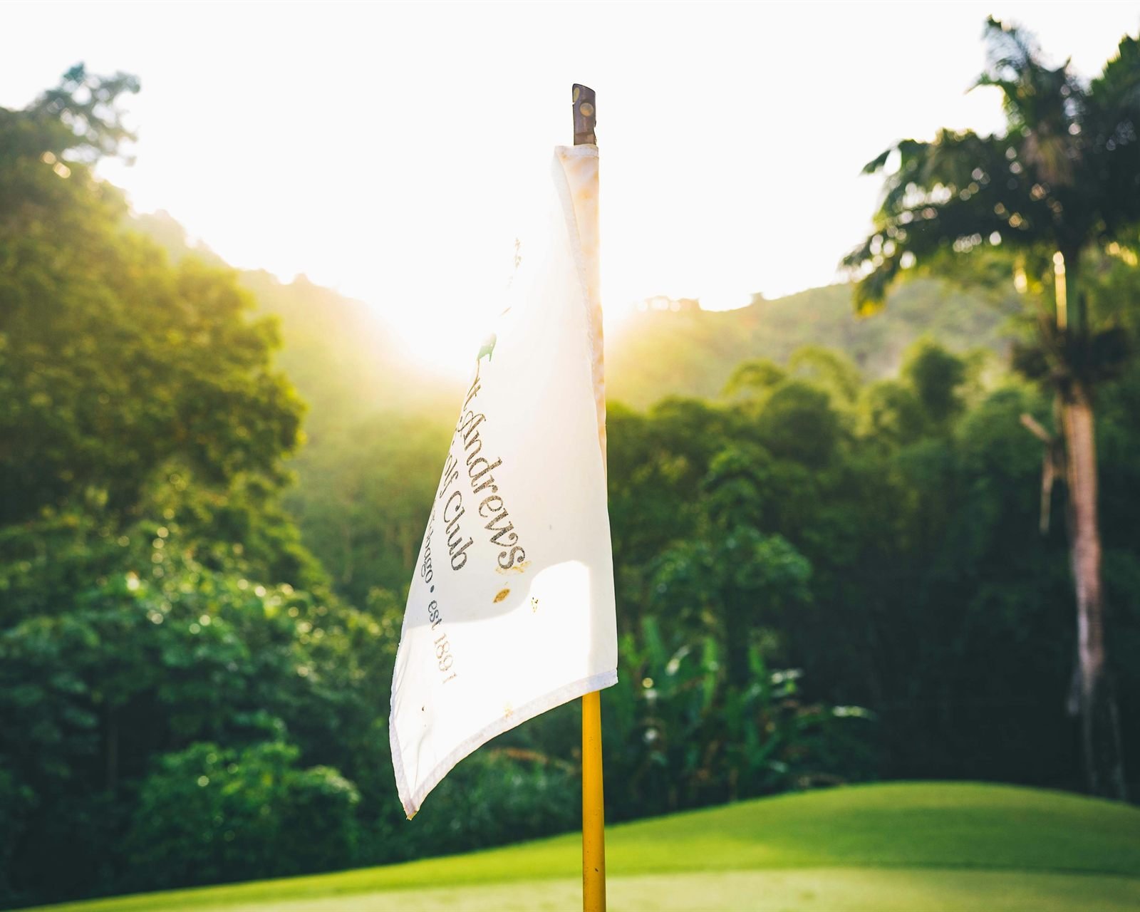 A flag on the green with the sun breaking through the trees behind it.