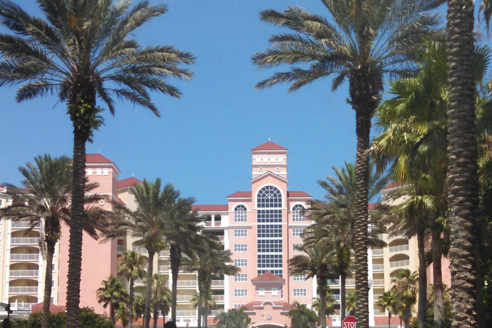 The pink towers of Hammock Beach Resort framed by tall palm trees under a clear blue sky.