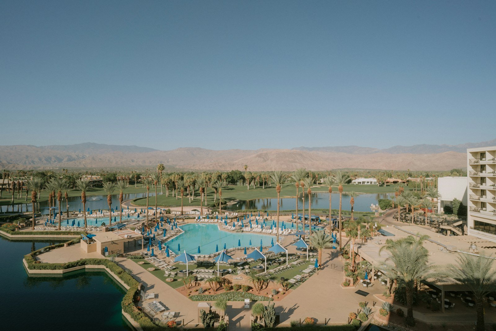 A resort pool ringed by palms and low desert architecture.