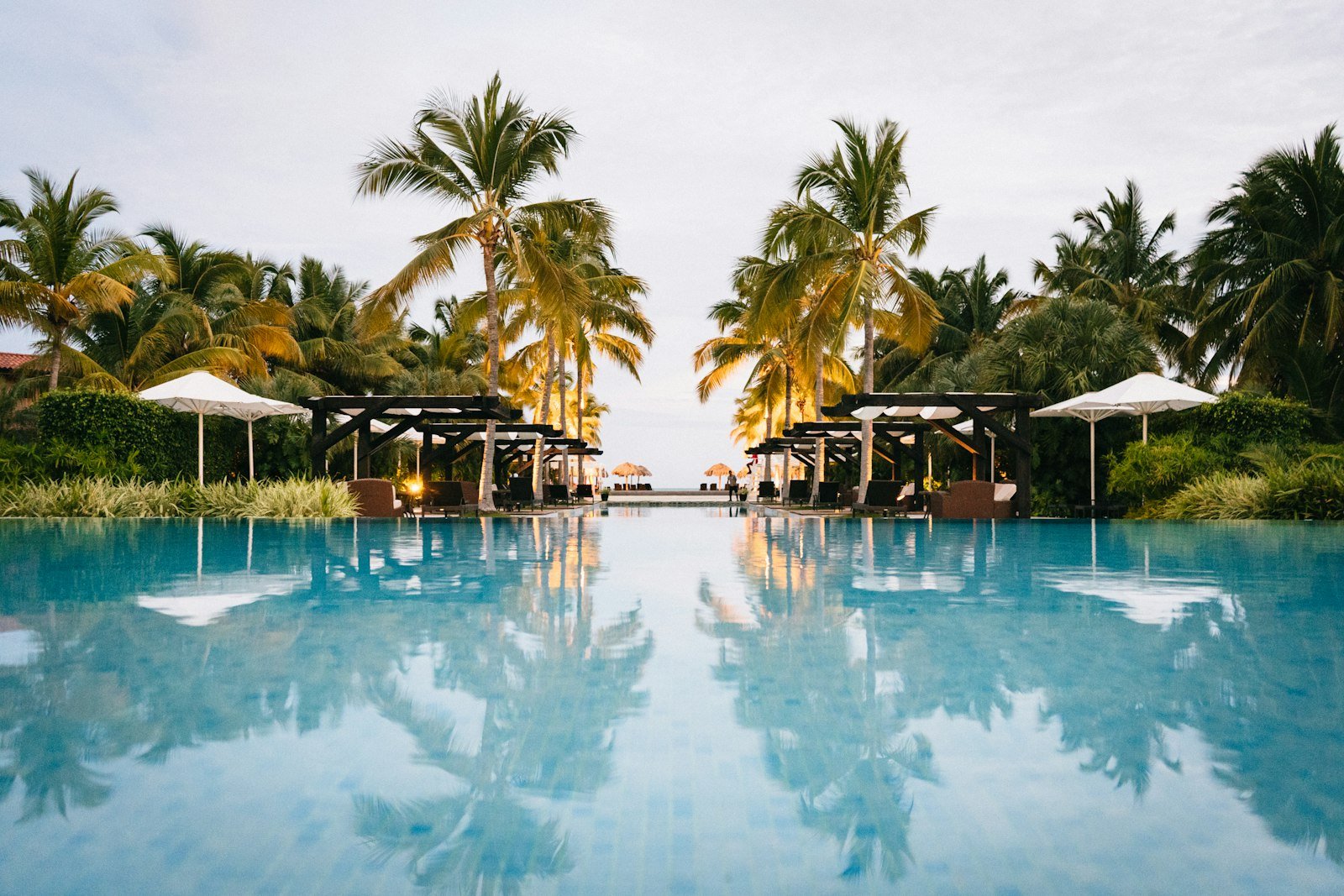 Palm trees leaning over a bright resort swimming pool.