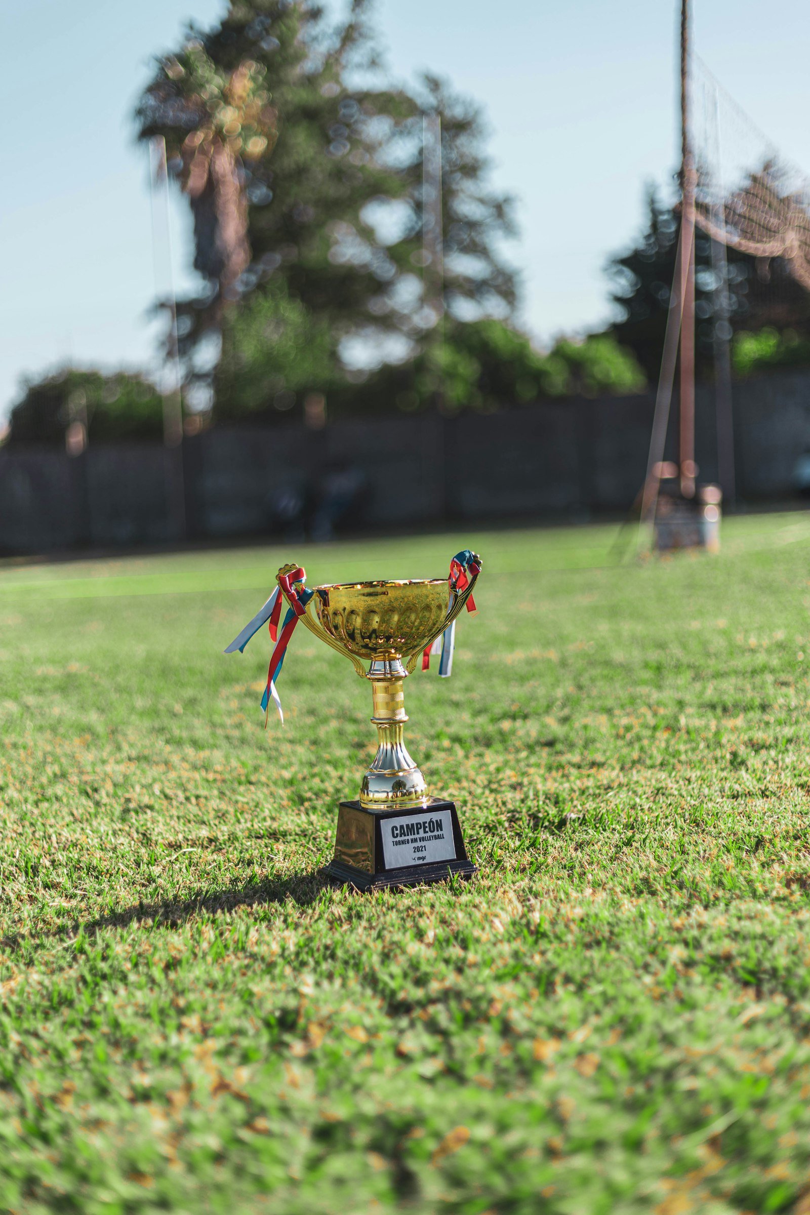 A silver trophy standing on a bright green fairway.
